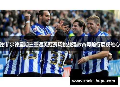 谢菲尔德星期三重返英冠赛场挑战强敌奋勇前行展现雄心