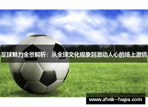 足球魅力全景解析：从全球文化现象到激动人心的场上激情
